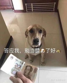 不做舔狗做回男神