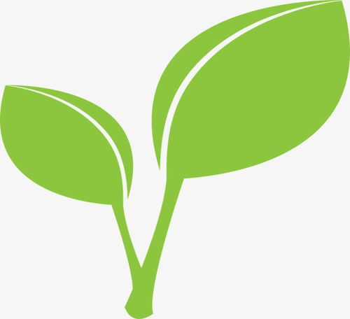 卡通绿色叶子素材图片免费下载高清装饰图案png千库网图片编号2721710
