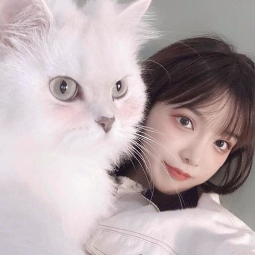 wechat对象不是人系列情头
