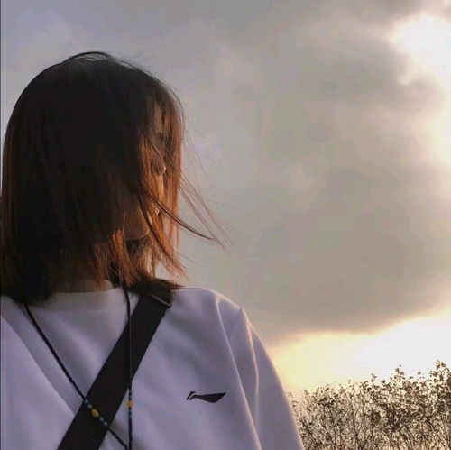 女生头像女孩子背影头像,黑长直还是高马尾呢