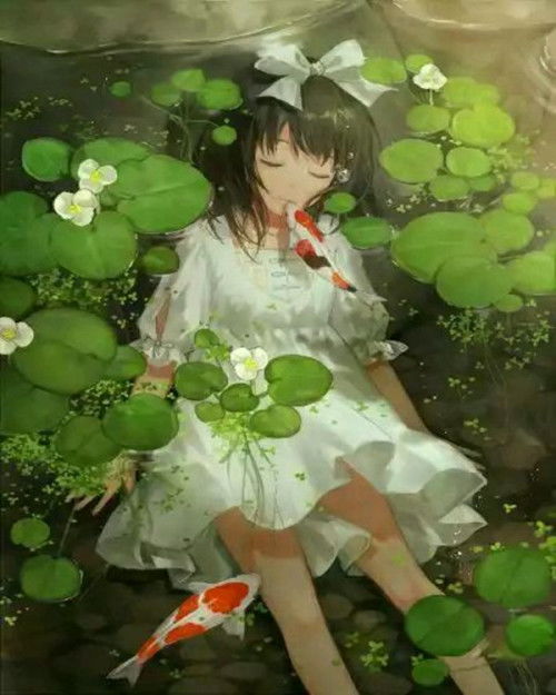 求小说封面,