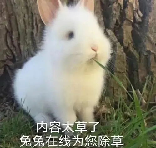 做了一个梦