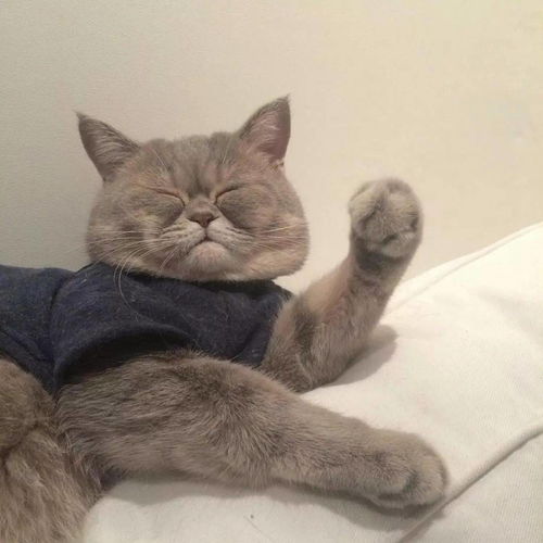 头像微信头像超级cool