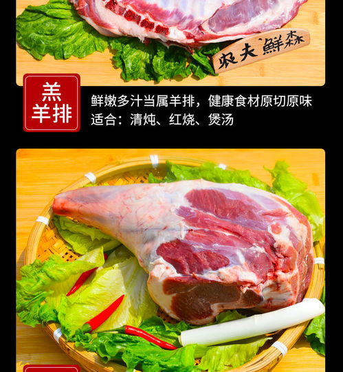 甘肃农家散养羊羊肉羊腿羊蝎子清真新鲜羊排235斤