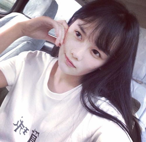 堆糖,美好生活研究所