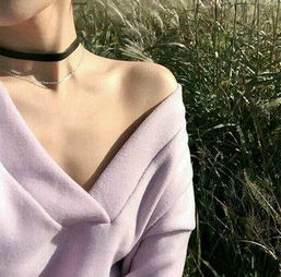 听听晚风视频直播全集听听晚风资料大全yy官方