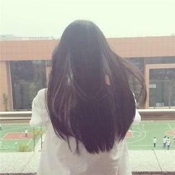 向大家求一张图,这张图片就是有一个女生是背影侧脸,夕阳,拿着手机,上衣是白色头发被风吹起来