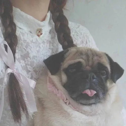 ins超仙不露脸女生头像