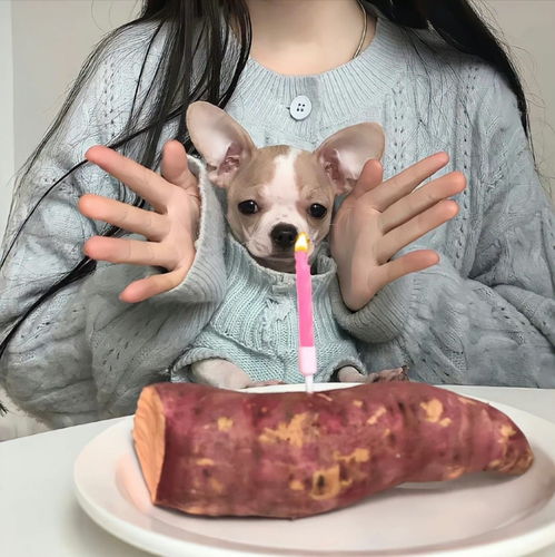 女生头像高级小众