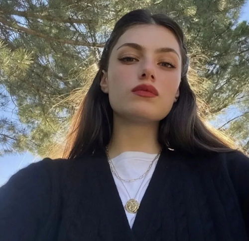 欧美风优质女头