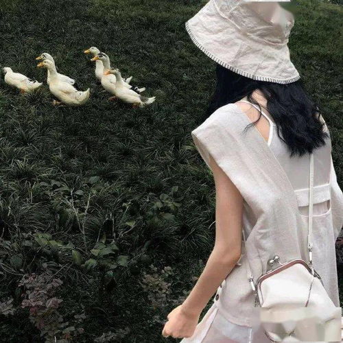 百看不厌的微信头像