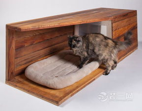 12个建筑事务所给猫建庇护所猫窝房子设计图片