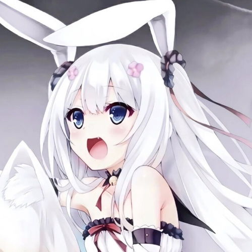 兔耳少女可以申请和你的手用一个口袋吗