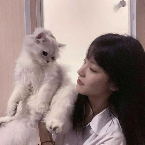 情侣头像丨超好看情侣头像大全