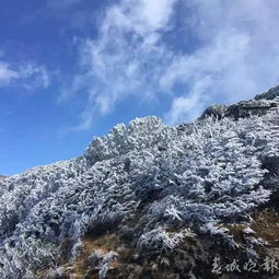 雾凇如画轿子雪山一降温就成冰美人