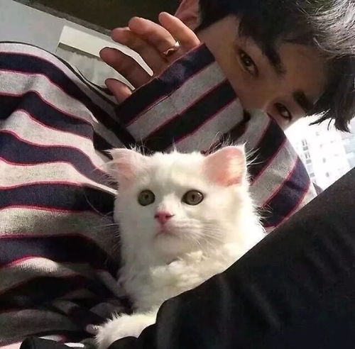 男生头像不忘初心,方得始终