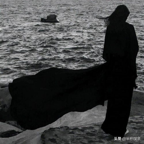 我的小说这该死的雨林第五章邂逅