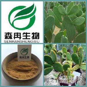仙人掌食品价格型号图片