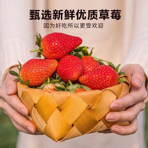 乡乡有梅园,村村有种植拍醒鲜活