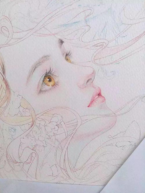 这些彩铅插画带着仙气,谁能不喜欢呀