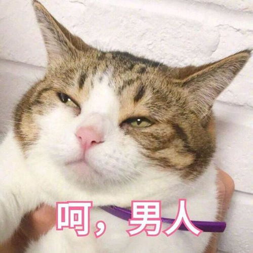 不结婚但是想要孩子,现实吗专家是时候给单身女生育权了