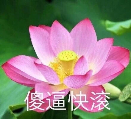 我用过的头像记录