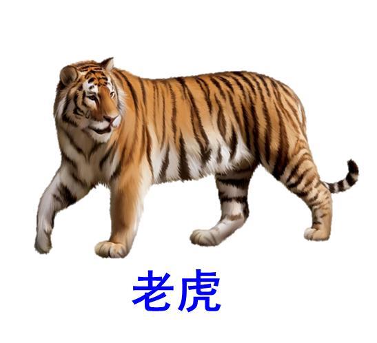 小学语文一年下册动物王国开大会知识积累干货能力扩展训练