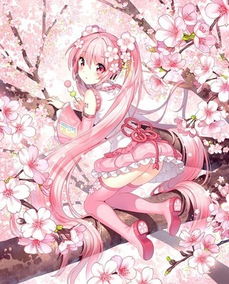 求几张樱花初音的照片