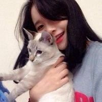 小清新女生抱猫头像唯美图片微信头像图片大全
