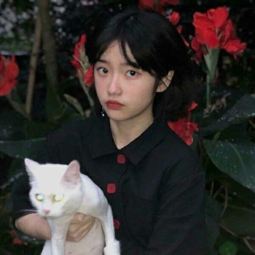 女王范儿高冷头像王岳伦