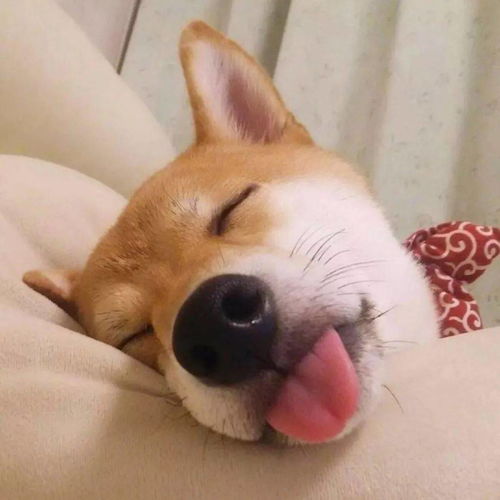 一眼爱上的微信头像