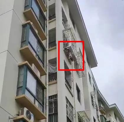 广西南宁女童头卡防盗窗命悬一线热心市民上演最美托举
