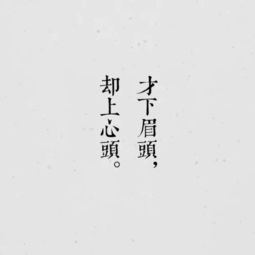 头像篇有人告我夜已深