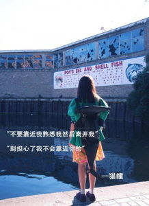 伤感带字唯美的句子图片精选唯美意境女生背影图片