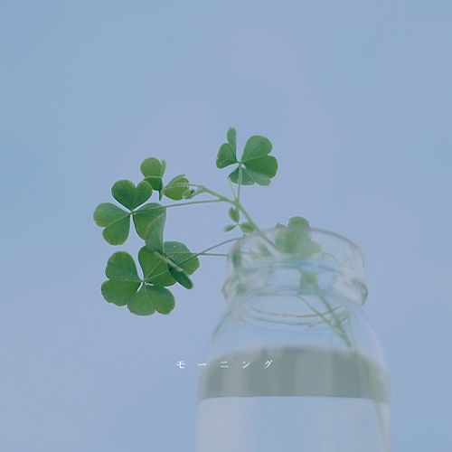 豆腐我要像你一样就好了