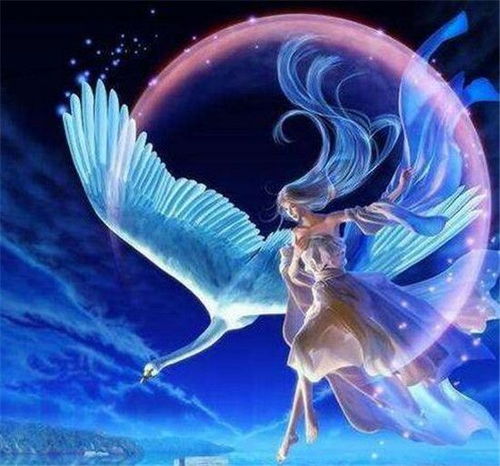 十二星座中,爱多管闲事瞎操心的星座,令人厌烦不已