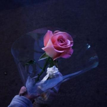 2020带好运的微信头像花朵吉祥好运的微信风景头像大全