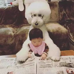 日本奶奶晒出两只狗狗和孙女的日常,感动了100000网友