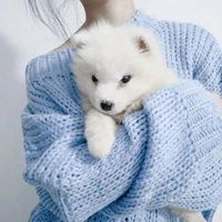 头像女和狗在一起的狗狗