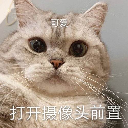 女生头像搞怪沙雕头像表情包
