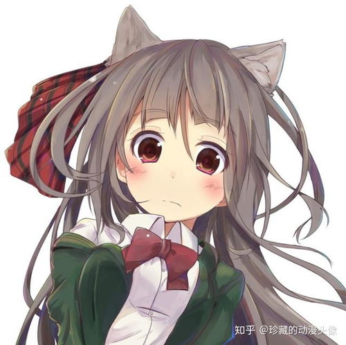二次元动漫头像长着耳朵的梦幻女生狐妖小仙女了解一下