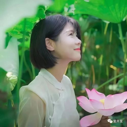 人美心更美,90后女孩新农人在抖音电商助农,直播登上联合国新闻