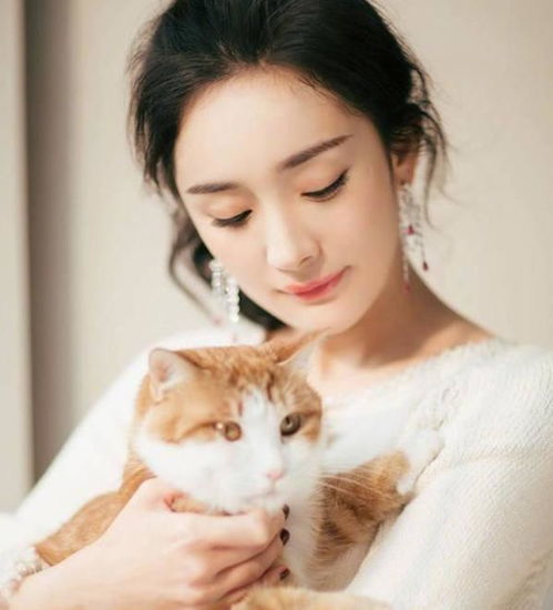 吴昕安静起来也是枚气质美女,更没想到的是戚薇也能如此知性优雅