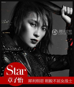 彩妆美人周迅章子怡猫女装霸气十足