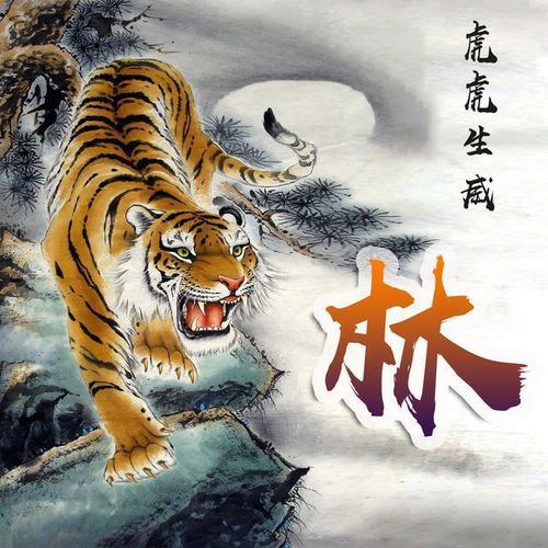 想要霸气的微信头像20张威猛霸气老虎姓氏头像,有你的吗