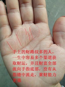 这几种手相特征,不论男女早晚会大财,家财万贯不求人
