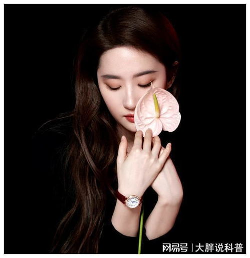 刘亦菲仙气与实力并存的女神