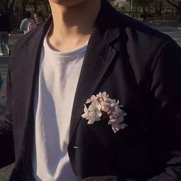 男女头像