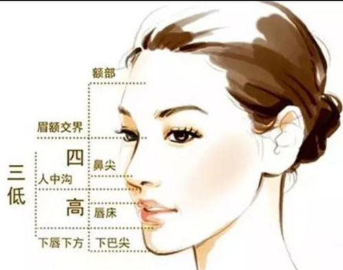 如何评价王一博