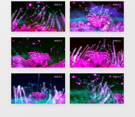 动画动态梦幻唯美花仙子仙境星光琉璃花背景视频素材下载mov格式熊猫办公